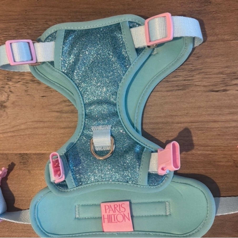 Paris Hilton Kids Mint Glitter Harness with Pink Accents